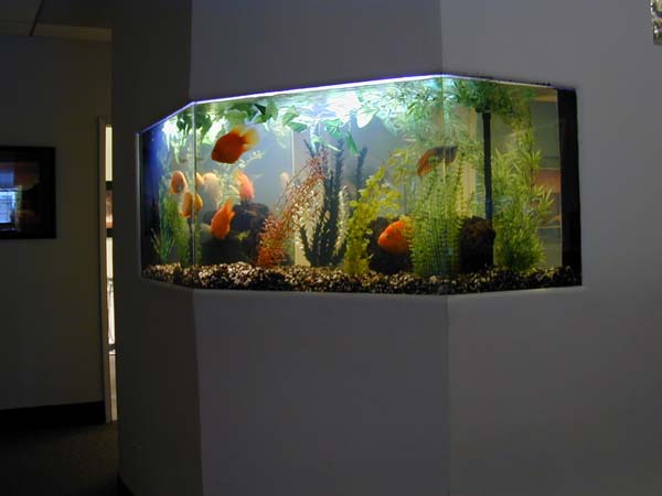 Встроенный аквариум в дизайне интерьера
